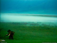 Tapeta National Geographic 563.jpg